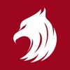 糖芯logo手机版