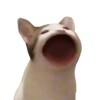 咚动